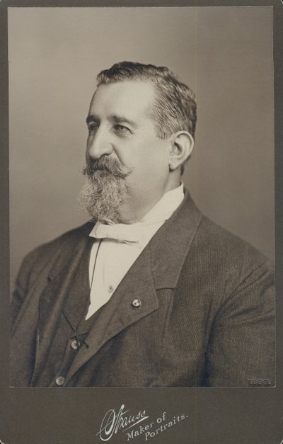 Portrait en buste de Leopold Methudy portant un costume, un gilet et un nœud papillon, tourné vers la gauche - St. Louis Strauss